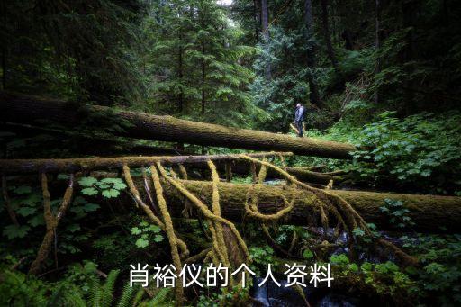 肖裕儀的個(gè)人資料