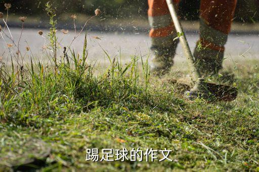 踢足球的作文