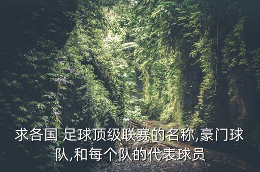 求各國 足球頂級聯(lián)賽的名稱,豪門球隊(duì),和每個隊(duì)的代表球員