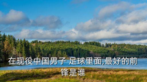 在現(xiàn)役中國男子 足球里面,最好的前鋒是誰