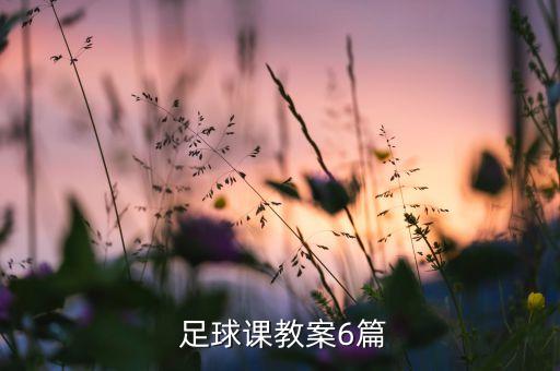  足球課教案6篇