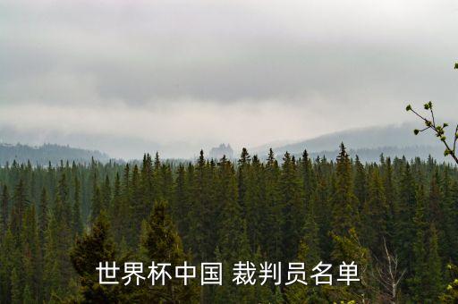 湖南省足球一級裁判,一場正式足球有幾個裁判