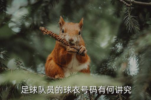  足球隊(duì)員的球衣號(hào)碼有何講究