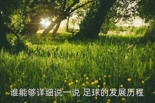 歐洲現(xiàn)代足球發(fā)展史,足球發(fā)展史PPT
