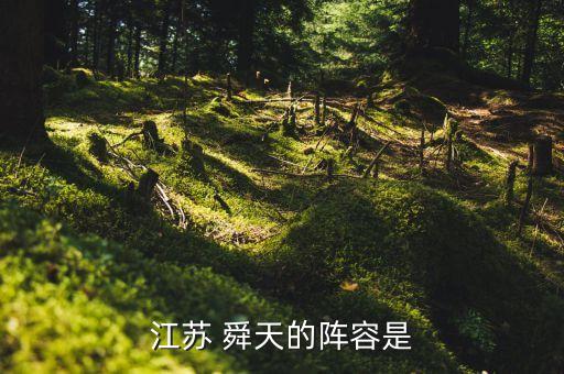 江蘇 舜天的陣容是