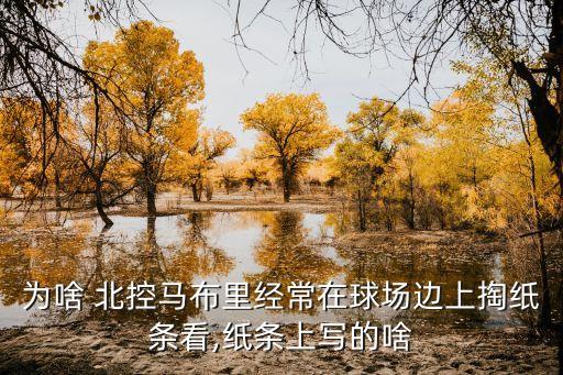 為啥 北控馬布里經常在球場邊上掏紙條看,紙條上寫的啥