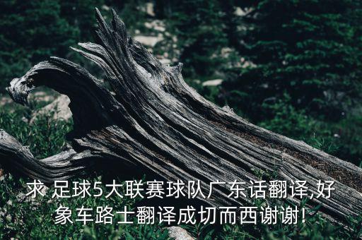 求 足球5大聯(lián)賽球隊(duì)廣東話翻譯,好象車路士翻譯成切而西謝謝!