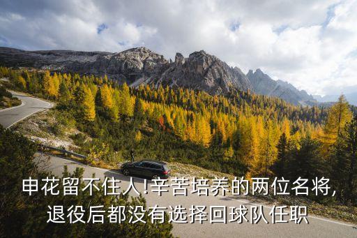 申花留不住人!辛苦培養(yǎng)的兩位名將,退役后都沒有選擇回球隊(duì)任職