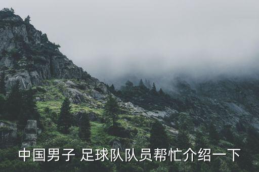 中國男子 足球隊(duì)隊(duì)員幫忙介紹一下