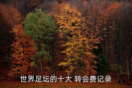 世界足壇的十大 轉(zhuǎn)會費(fèi)記錄