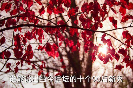 瓦朗謝納足球,巴黎fc對(duì)瓦朗謝納預(yù)測(cè)