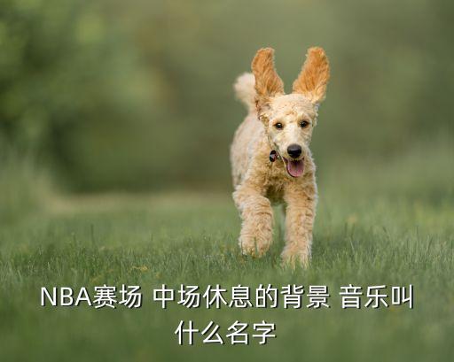 樂視足球直播 中場音樂,樂視體育足球直播app