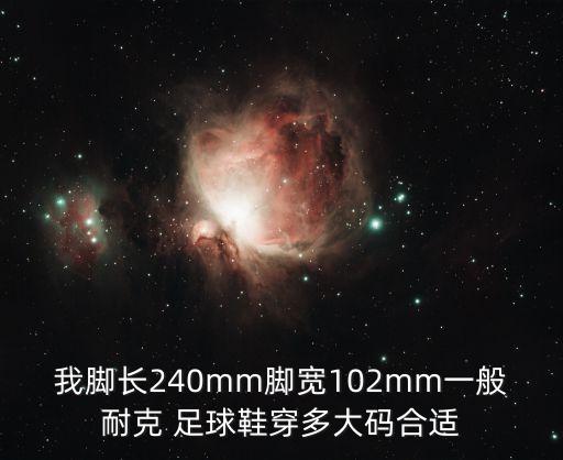 我腳長240mm腳寬102mm一般耐克 足球鞋穿多大碼合適