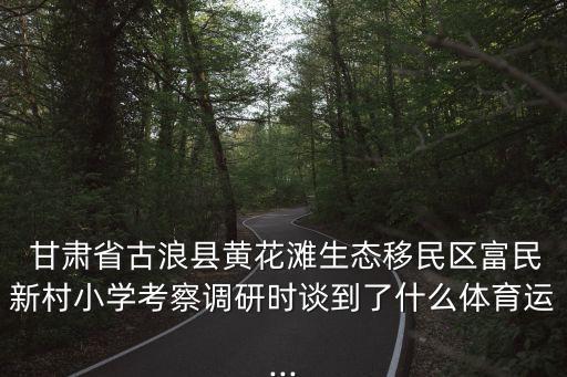 甘肅足球