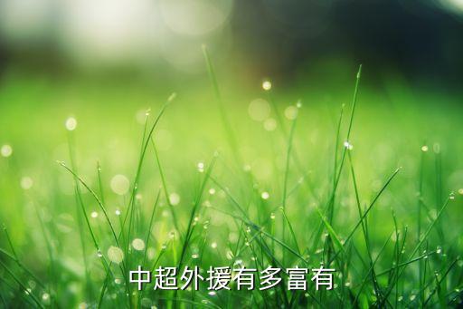 中超外援有多富有