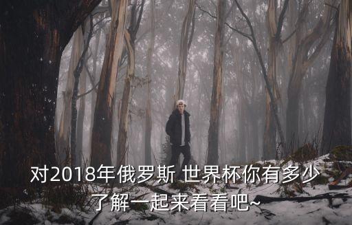 2018年世界足球烏龍球,世界足球十大烏龍球