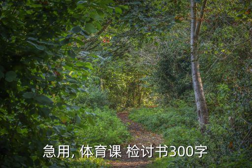 急用, 體育課 檢討書300字