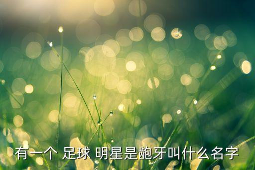 有一個(gè) 足球 明星是齙牙叫什么名字