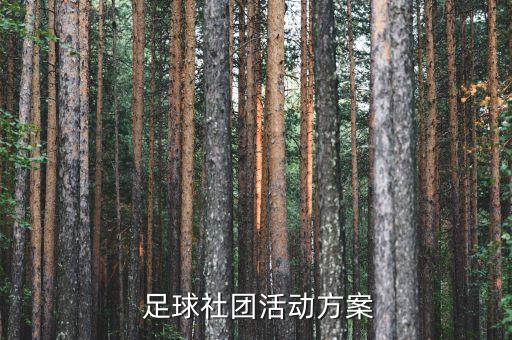  足球社團活動方案