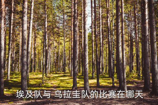  埃及隊與 烏拉圭隊的比賽在哪天
