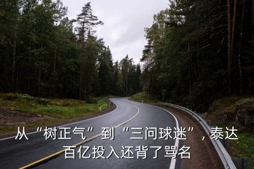 從“樹正氣”到“三問球迷”, 泰達(dá)百億投入還背了罵名