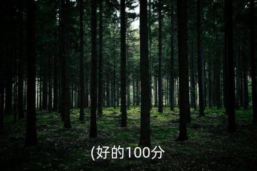 (好的100分