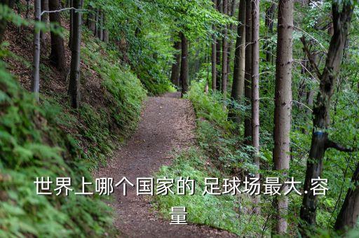 世界上最大的足球場(chǎng)排名