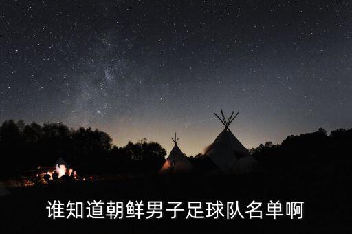誰(shuí)知道朝鮮男子足球隊(duì)名單啊