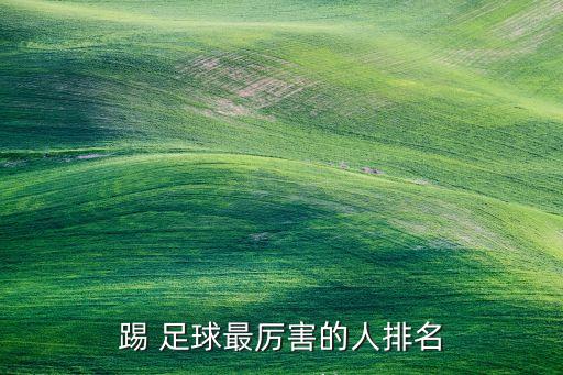 踢 足球最厲害的人排名