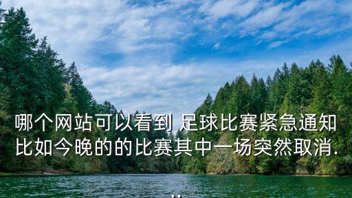 哪個網(wǎng)可以看足球,足球免費推薦網(wǎng)哪個好