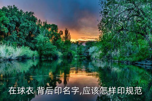 足球隊(duì)服背后印號(hào)