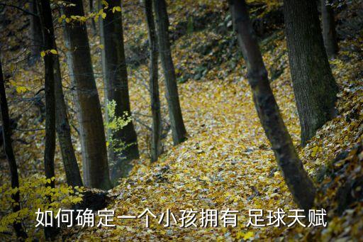 如何確定一個(gè)小孩擁有 足球天賦