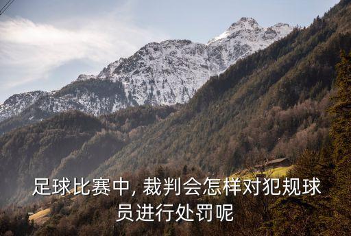 足球攻擊裁判 判負,足球裁判判錯了怎么辦