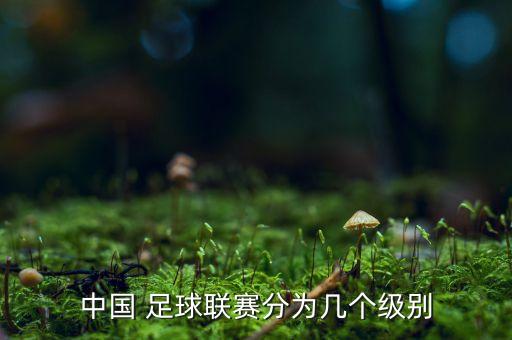 中國 足球聯(lián)賽分為幾個級別