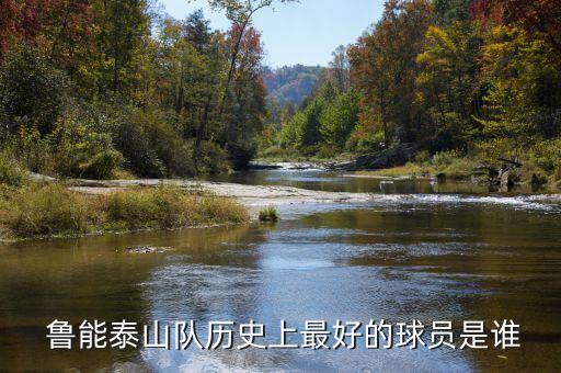 山東魯能泰山足球俱樂部