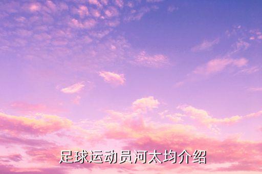  足球運動員河太均介紹