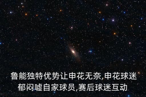  魯能獨(dú)特優(yōu)勢(shì)讓申花無奈,申花球迷郁悶噓自家球員,賽后球迷互動(dòng)