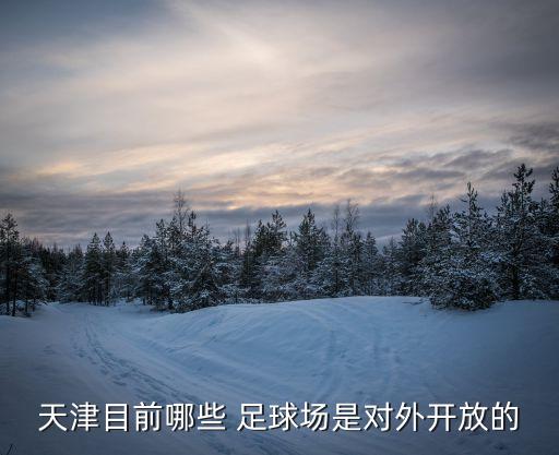 天津目前哪些 足球場是對外開放的