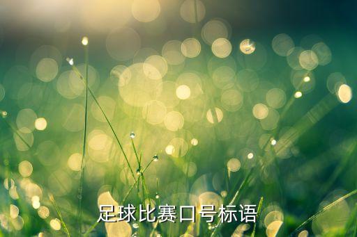 足球比賽口號(hào)標(biāo)語(yǔ)