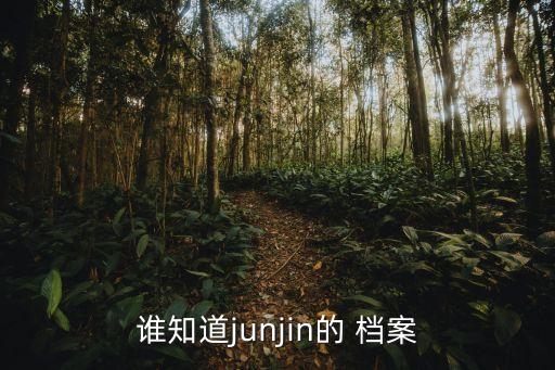 誰(shuí)知道junjin的 檔案