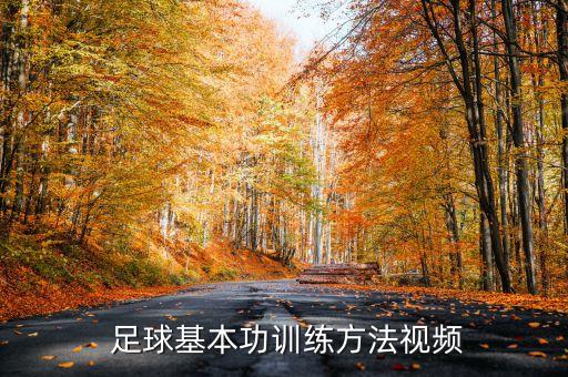  足球基本功訓(xùn)練方法視頻