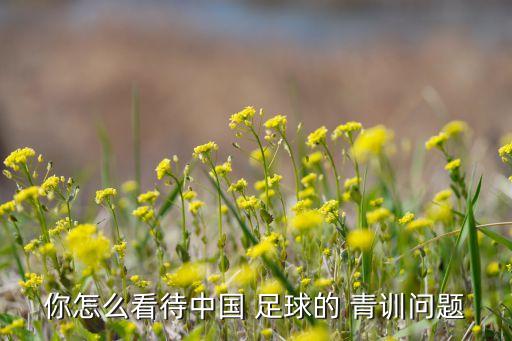 你怎么看待中國 足球的 青訓(xùn)問題