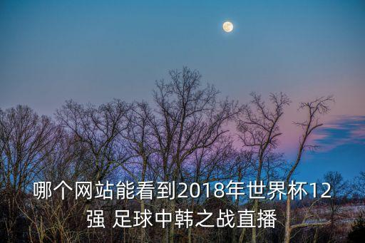 哪個網(wǎng)站能看到2018年世界杯12強(qiáng) 足球中韓之戰(zhàn)直播