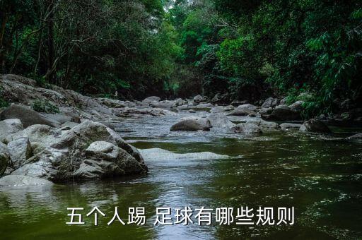 五個(gè)人踢 足球有哪些規(guī)則