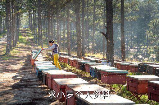 求小羅個(gè)人資料