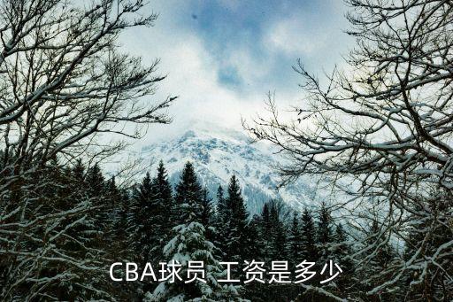 CBA球員 工資是多少