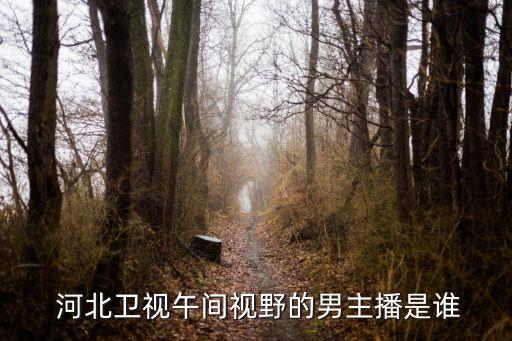  河北衛(wèi)視午間視野的男主播是誰