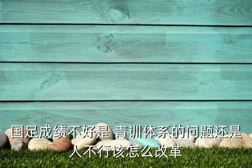 足球青訓(xùn)影響,德國足球青訓(xùn)
