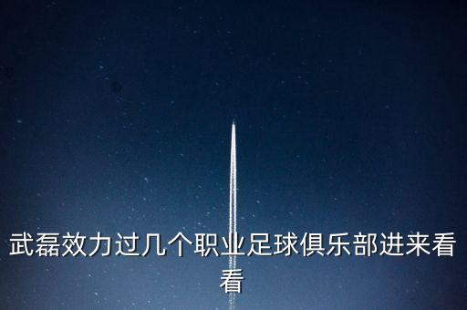 武磊效力過幾個職業(yè)足球俱樂部進(jìn)來看看
