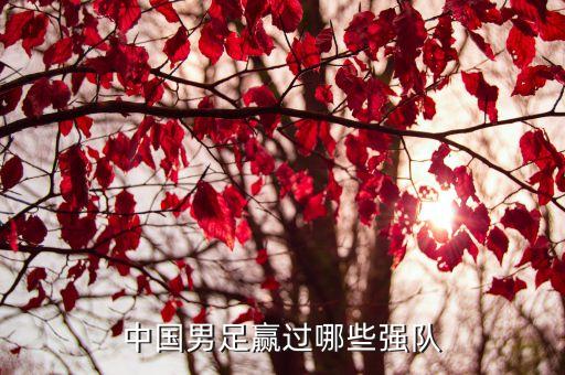 中國(guó)男足贏過(guò)哪些強(qiáng)隊(duì)